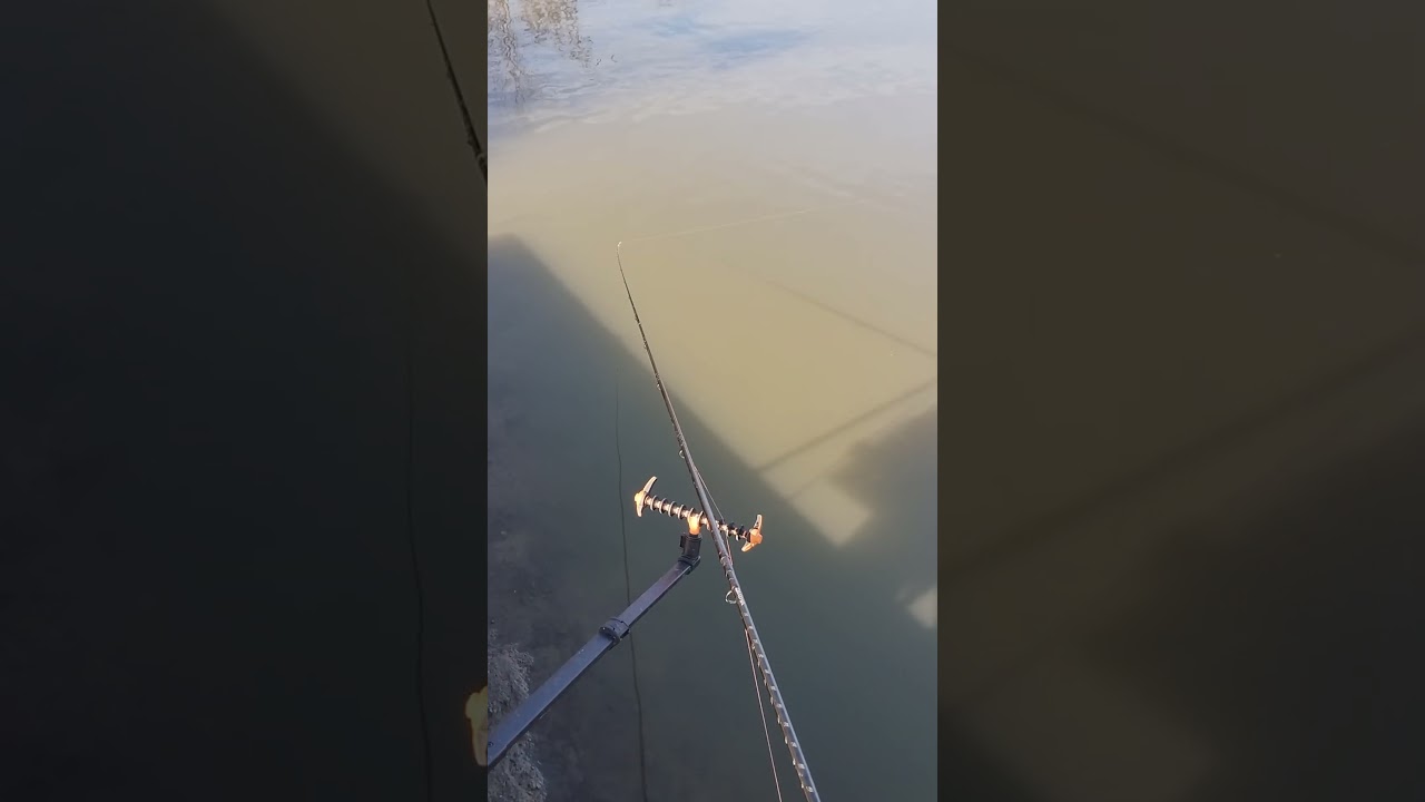 Method Feeder - Lacul Paulesti 2 #methodfeeder #feedermastersromania #fishing