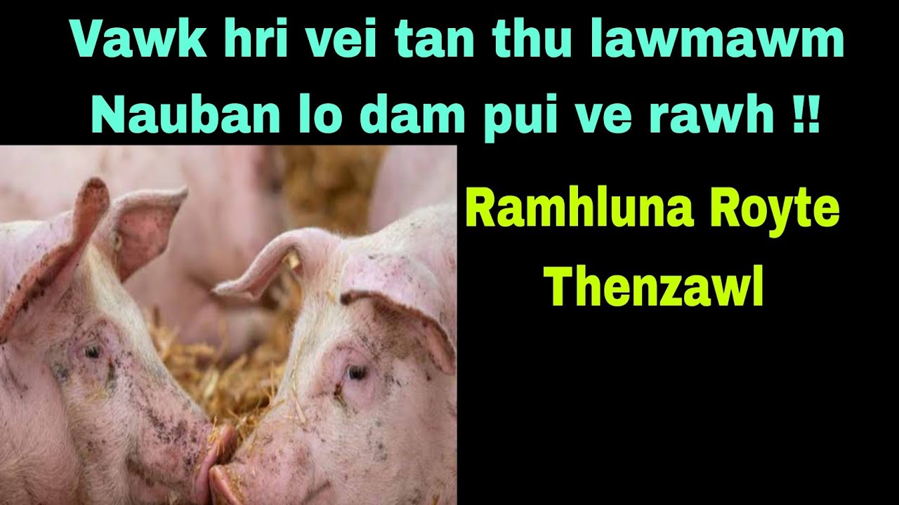Vawk hri leng tan thu lawmawm Nauban lo dam pui ve rawh se !! Ramhluna Royte Thenzawl.