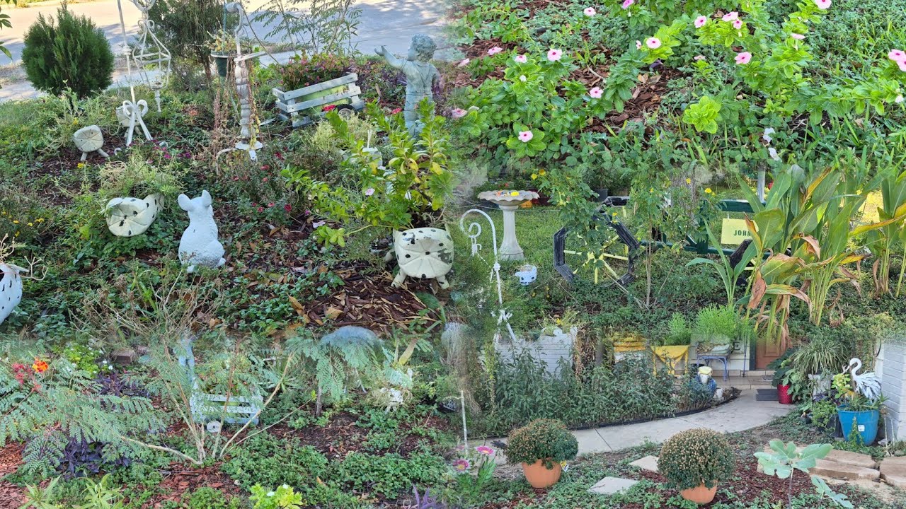 Mi primer recorrido por mi jardín en Noviembre lo bonito que esta #recorrido 