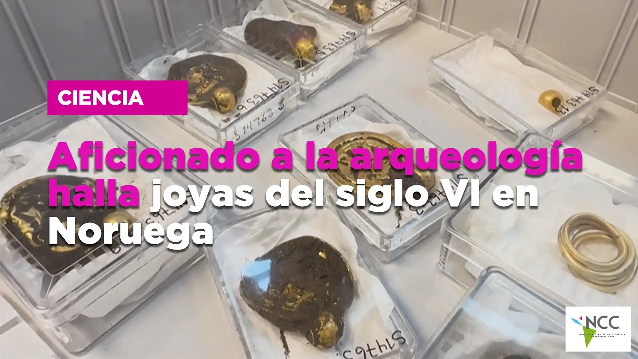 Aficionado a la arqueolog&iacute;a halla joyas del siglo VI en Noruega