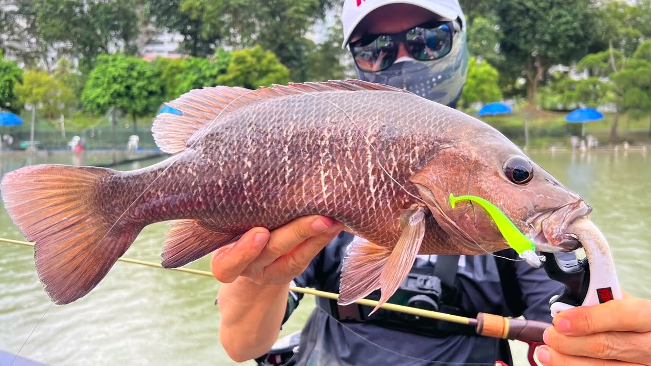 You gotta try this lure and set up!!!