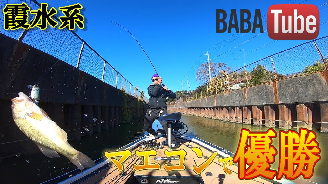 BABATube【霞水系】ビッグベイトは晩秋の切り札！