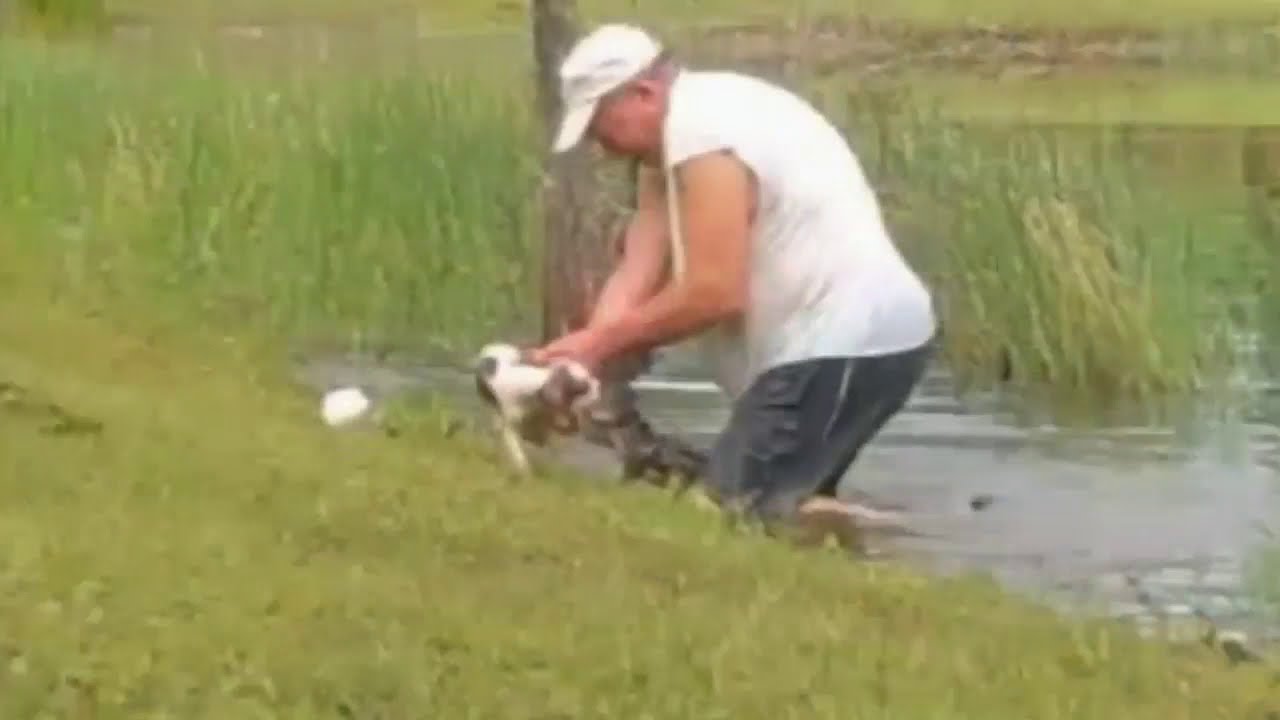 Heldenhafte Hunderettung f&uuml;r zwei Hunde in letzer Minute