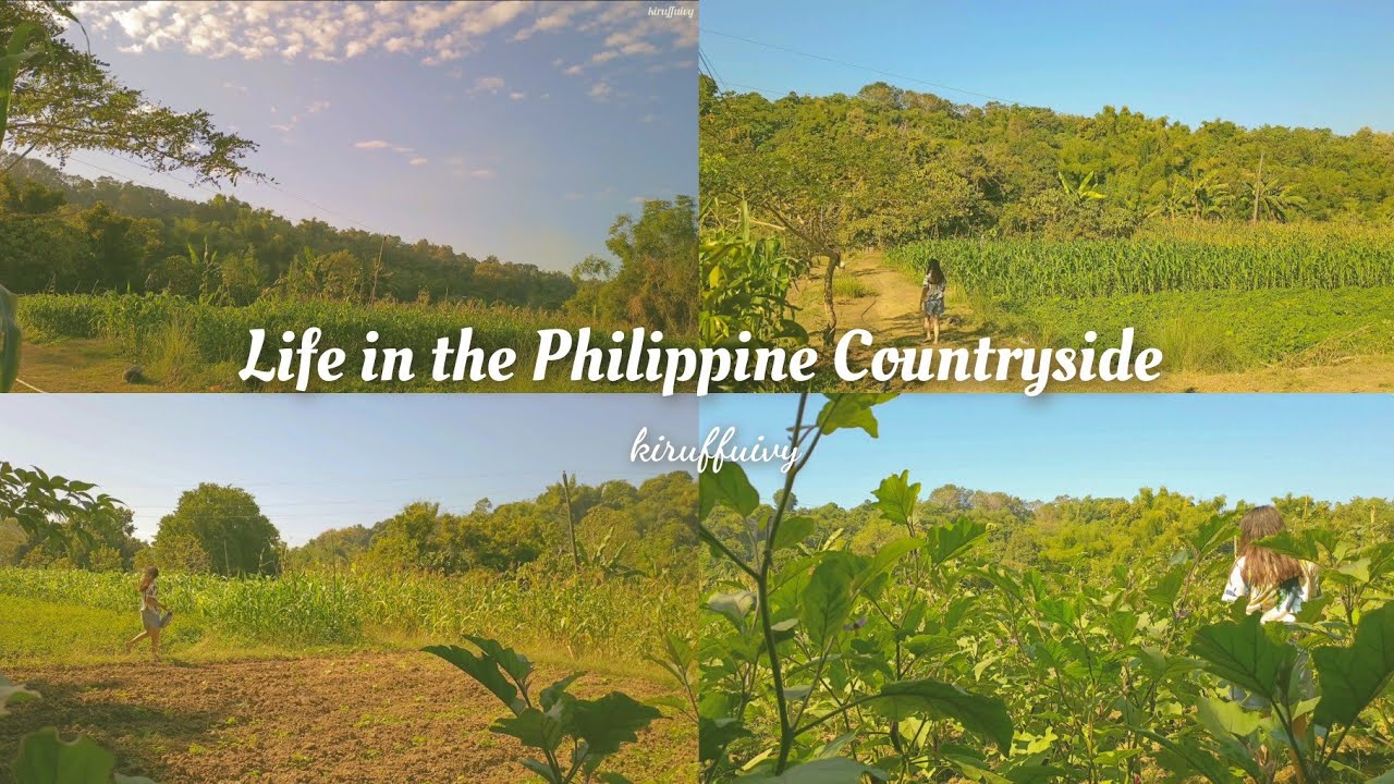 Life in the Philippine Countryside 🌴 cozy relaxing day ✨ silent vlog | ghibli inspired