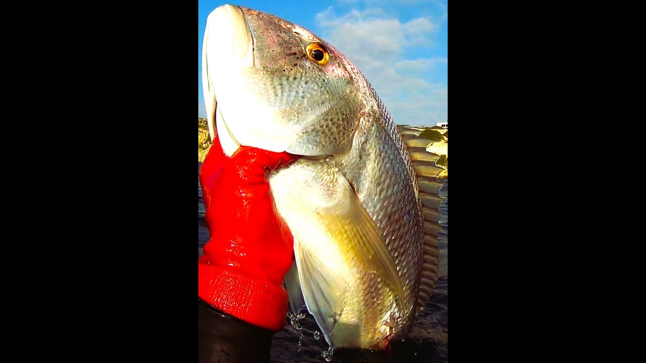 &Mu;&iota;&alpha; &phi;&omicron;&beta;&epsilon;&rho;ή &psi;&alpha;&rho;&iota;ά &sigma;&epsilon; έ&nu;&alpha;&nu; έ&rho;&eta;&mu;&omicron; &tau;ό&pi;&omicron;...🐟🐟🌊🌊🔱🔱🔱