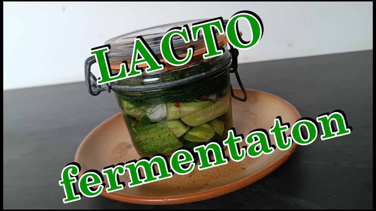LACTOFERMENTATION DE CORNICHON !! ( cornichon sel, méthode pirate polonais )