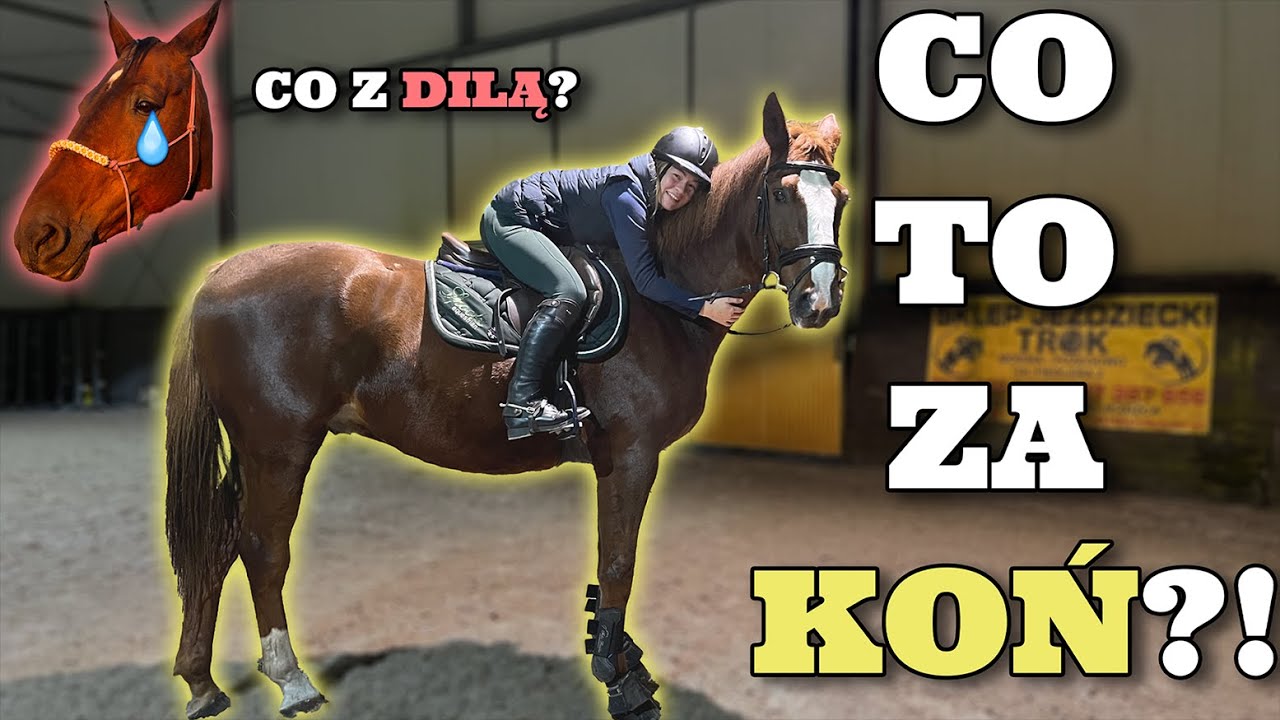 STAJENNY VLOG #31 | ZNOWU SIEDZĘ NA KONIU! 🤩