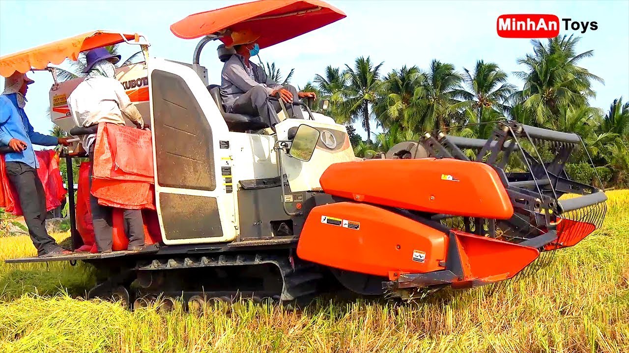 Máy Cắt Lúa Nhạc Thiếu Nhi | Bé Xem Máy Gặt Lúa Trên Đồng Lúc 12 Giờ Trưa