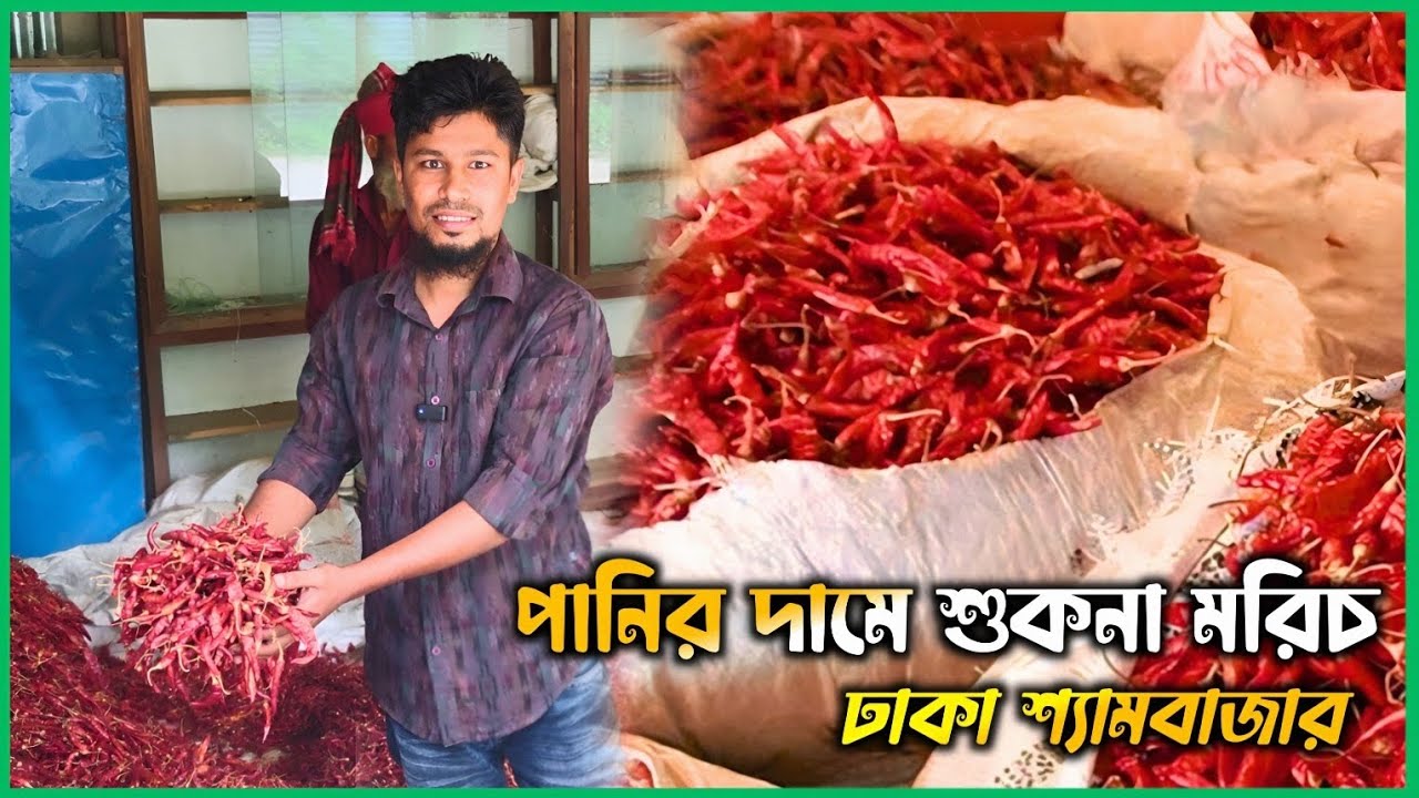 শুকনো মরিচের পাইকারি বাজার দর ঢাকা শ্যামবাজার  