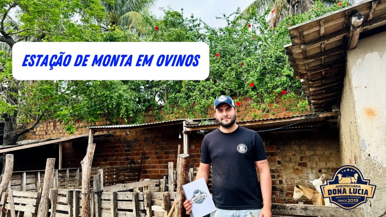 ESTAÇÃO DE MONTA EM OVINOS