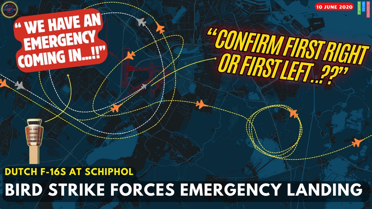 RNLAF F-16 suffers Bird Strike over north sea | Diverts to schipol airport #atc 