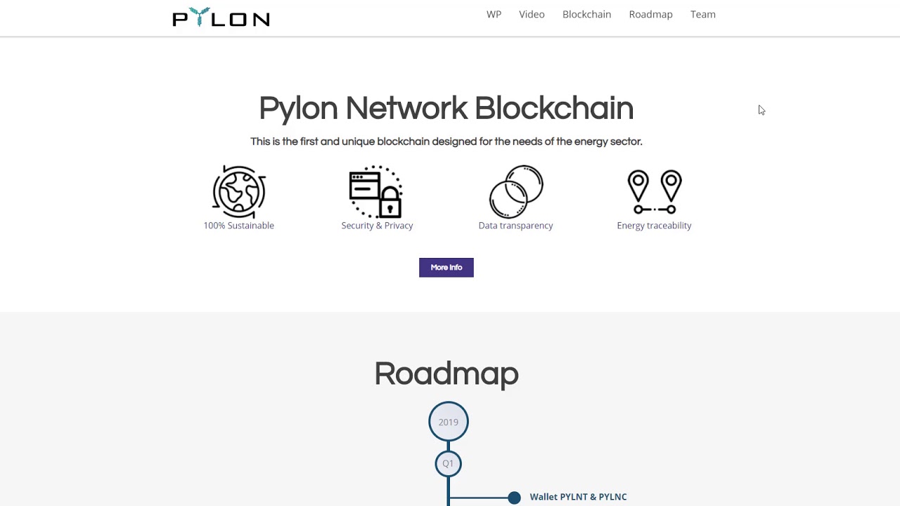 Pylon Network- amazing project focusing on an energy sector