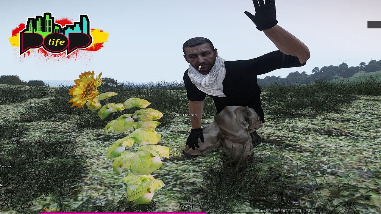 DINERITO DINERITO, LA GRAN PLANTACIÓN ( POP LIFE )