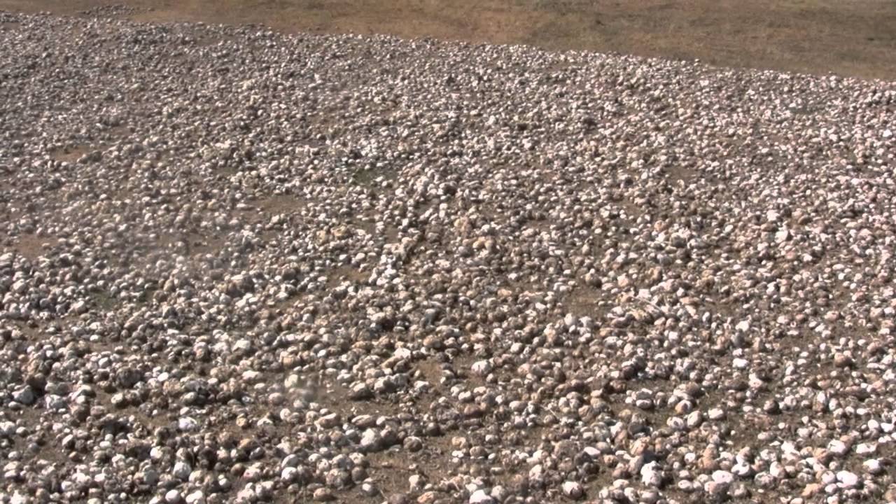 Procesamiento de Chuño | Huancavelica | Peru