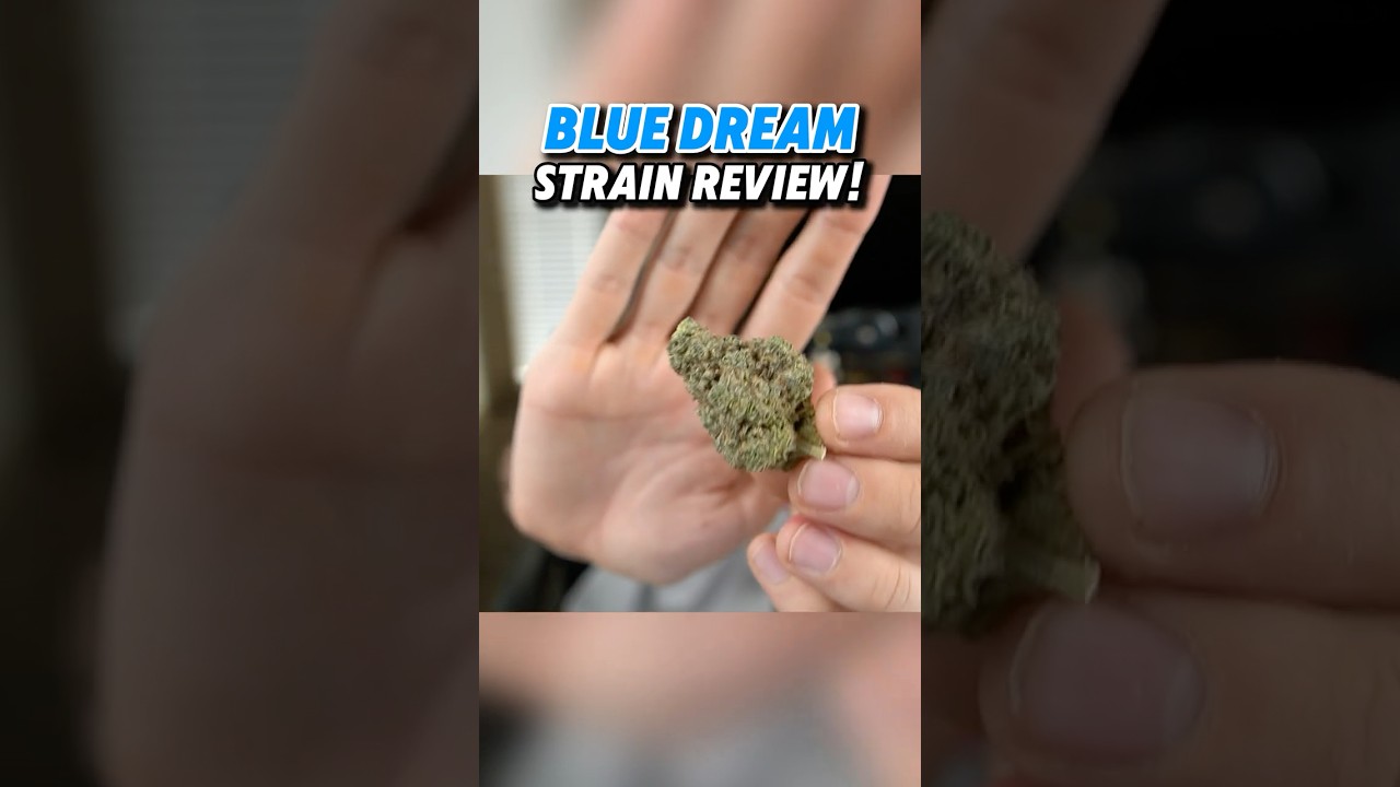 BLUE DREAM *REVIEW*