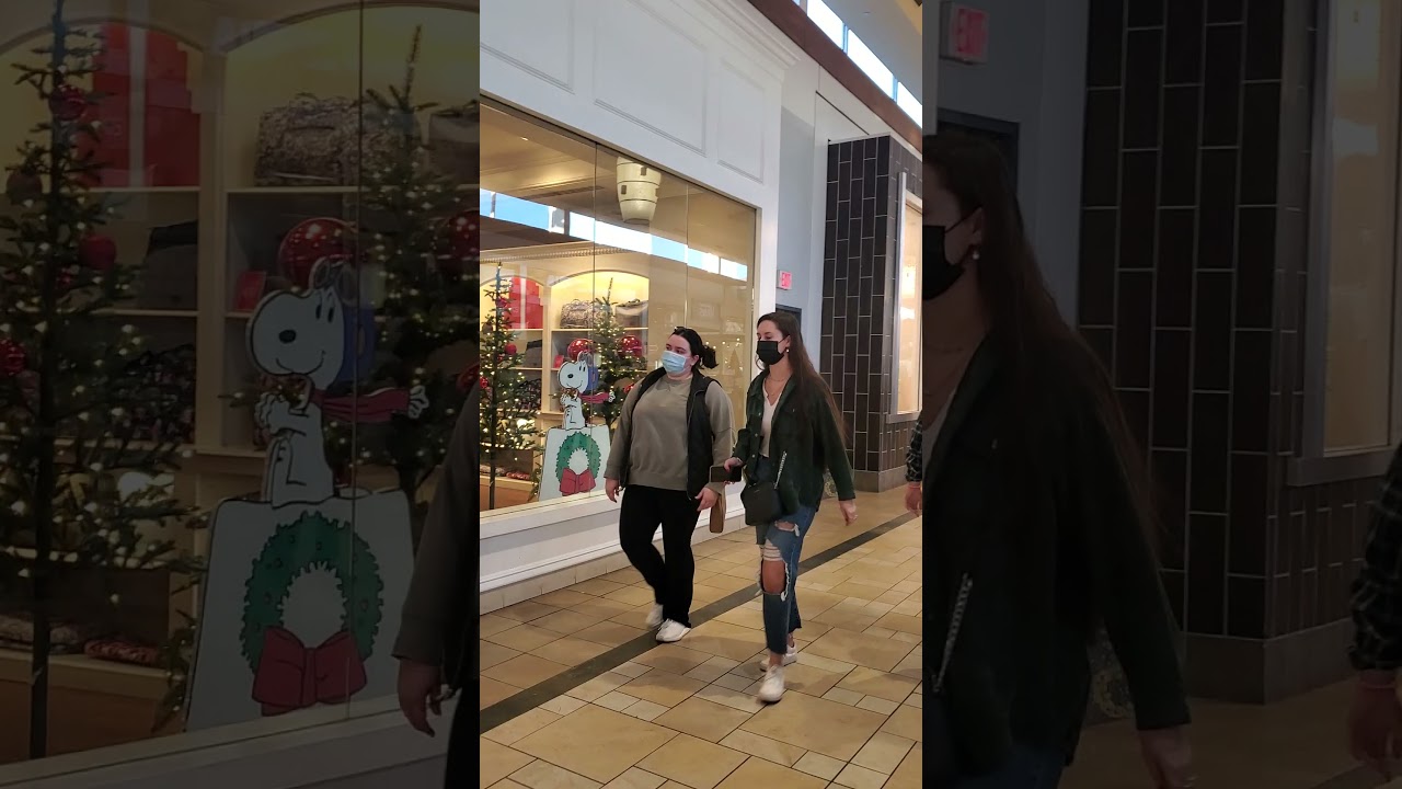 Smith Haven Mall update, Christmas 2021