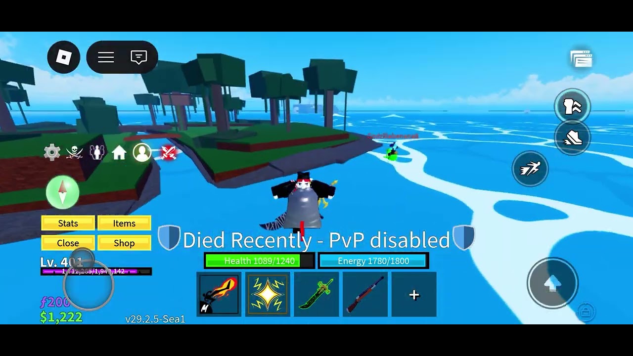 Trying to help out a noob in blox fruits