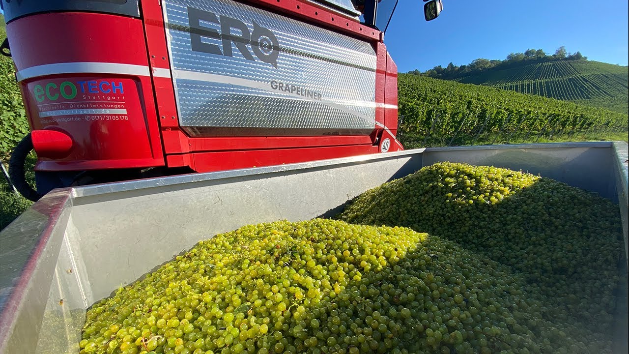 ERO Grapeliner SF 6200 mit Entrapper - Traubenvollernter