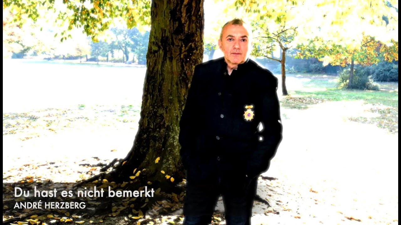 ANDRÉ HERZBERG | Du Hast Es Nicht Bemerkt