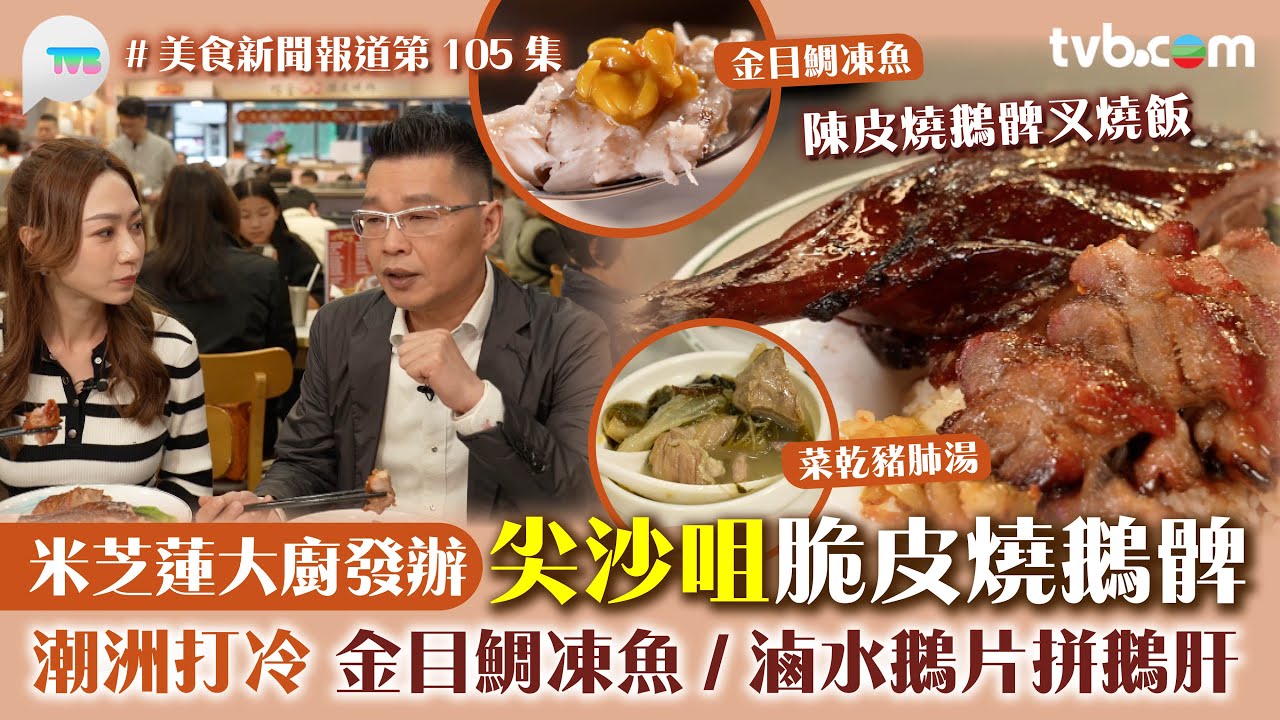 美食新聞報道｜米芝蓮大廚發辦 尖沙咀脆皮燒鵝髀 必食潮州打冷 金目鯛凍魚/滷水鵝片拼鵝肝｜TVBPlus