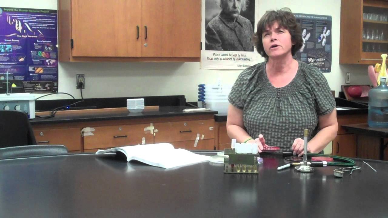 Selective and Differential Media