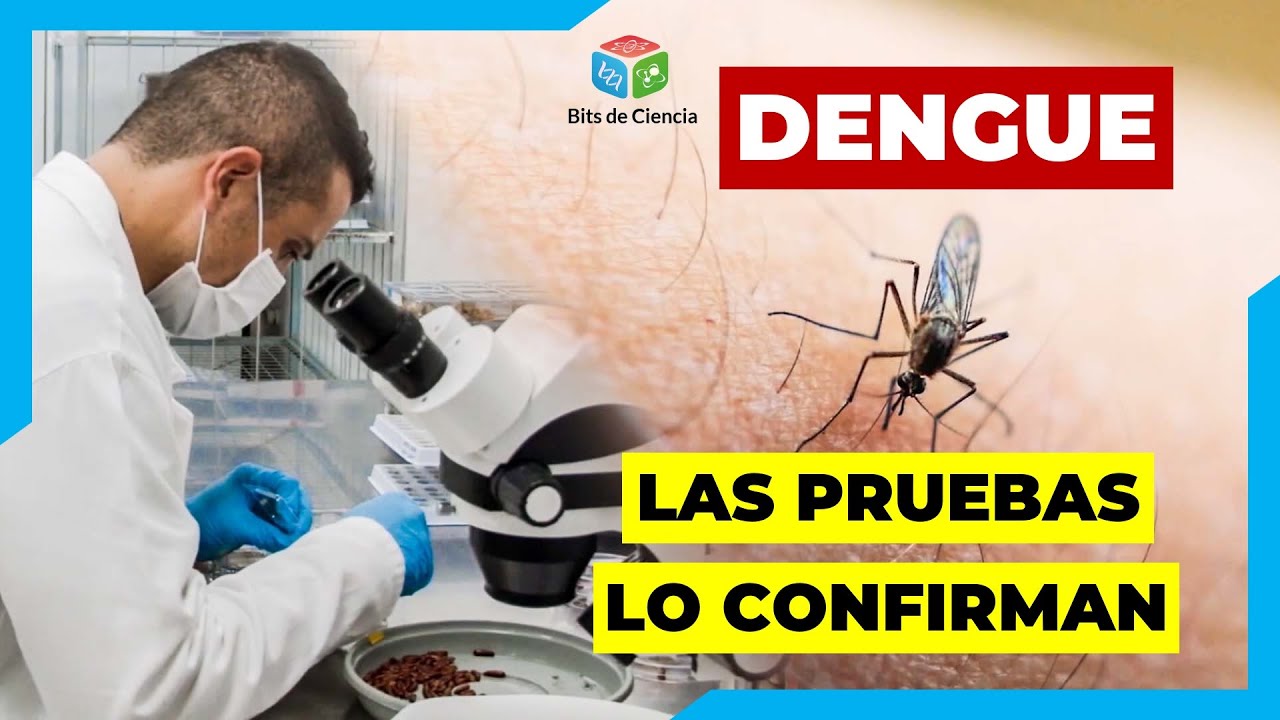 ▷ LAS PRUEBAS DE DIAGNÓSTICO PARA DETECTAR AL VIRUS DEL DENGUE 🦠🧪🔬