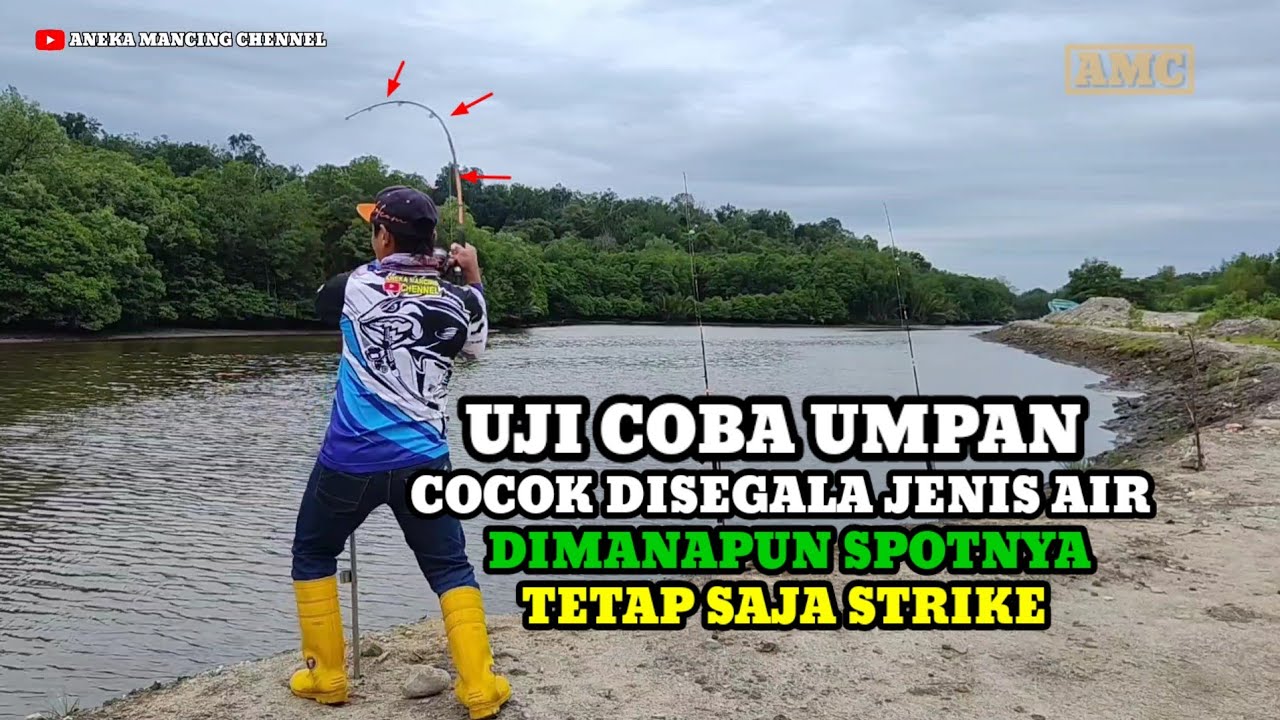 GACOR..!!Baru Lempar Dimakan || Uji Coba Umpan Usus Ayam DiAir Payau