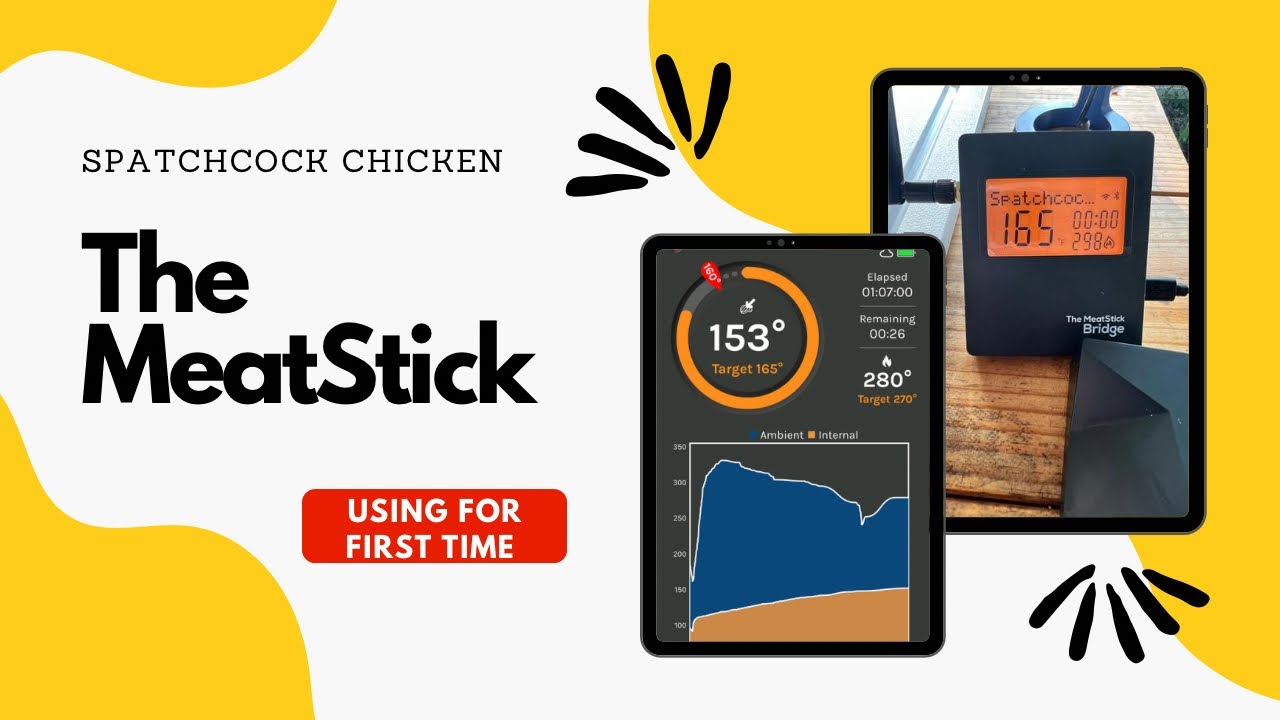The MeatStick:  First Time Using this Product
