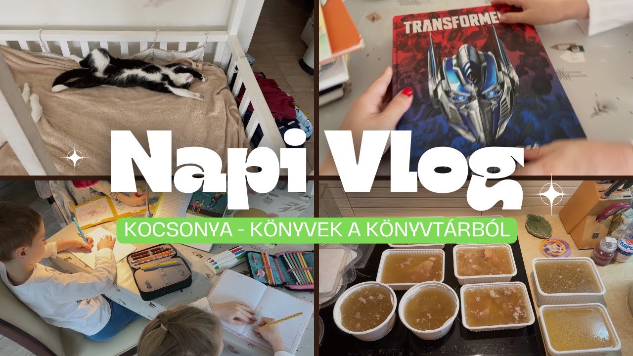 NapiVlog (márc.16.) - Kocsonya - Könyvek a könyvtárból