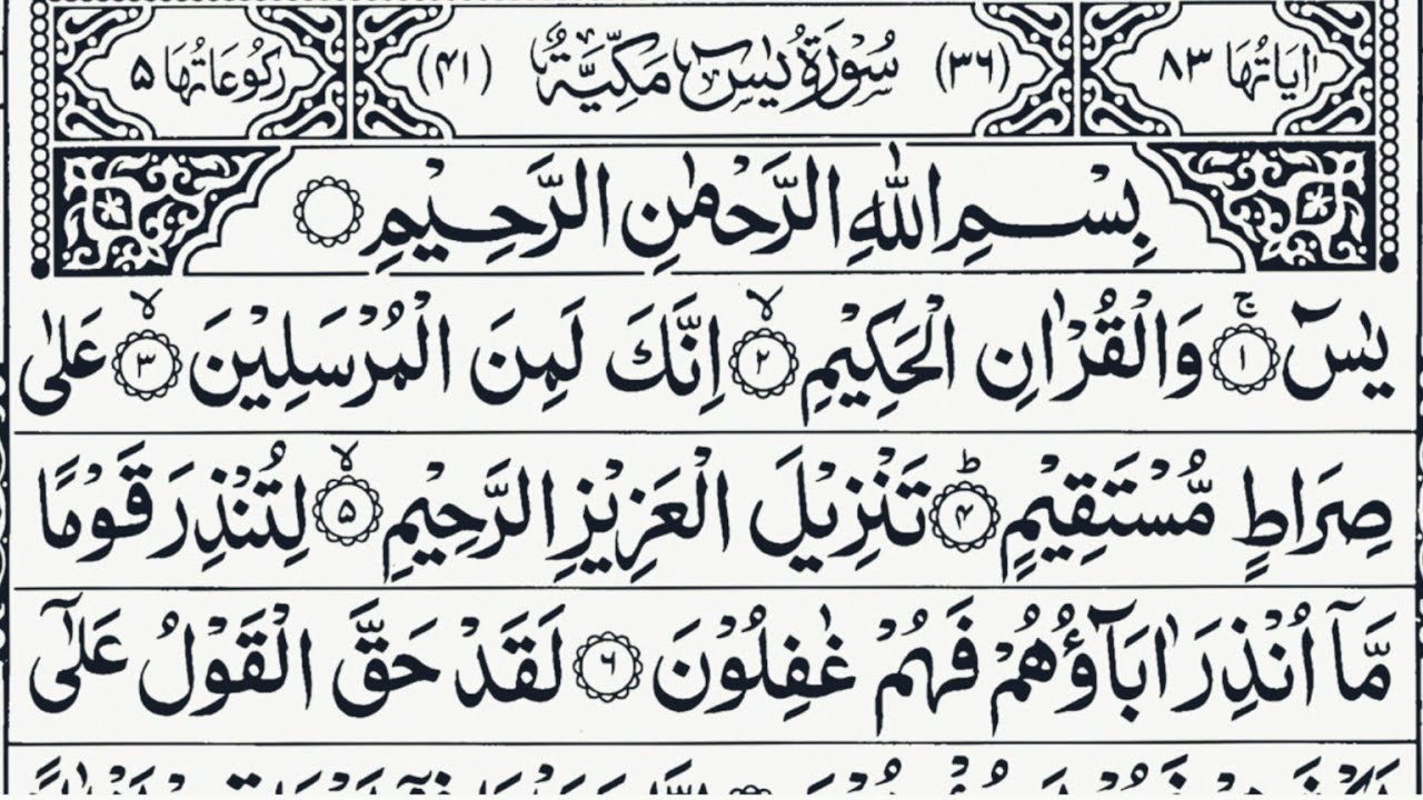 Surah Yasin Surah Rahman | (Yaseen ) Beautiful Quran Recitation | Ep 54 | Yaseen surah full
