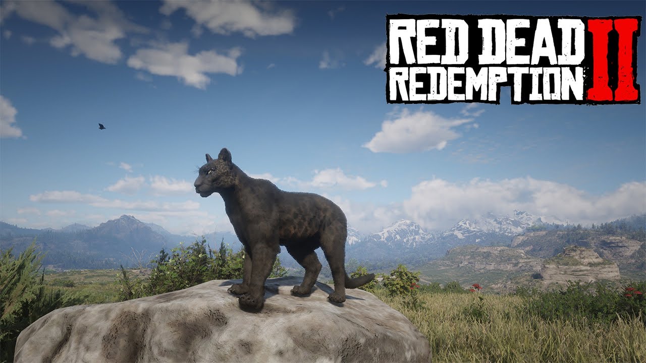 Black Panther (bunch of black panthers)  in Valentine - Red Dead Redemption 2