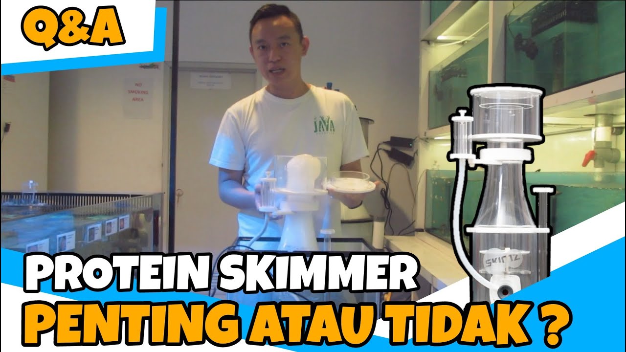 PROTEIN SKIMMER | KEBUTUHAN PENTING DI DALAM AQUARIUM AIR LAUT ?