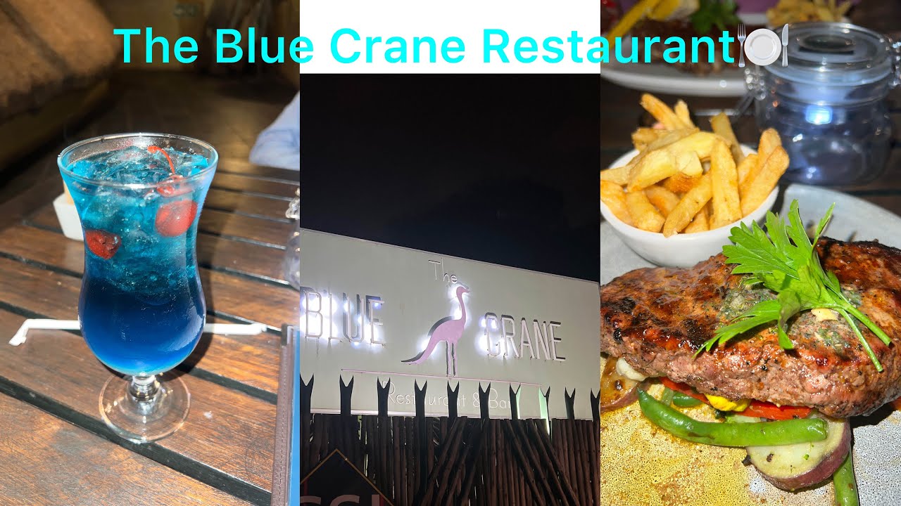 The Blue Crane Restaurant Pretoria ||restaurant 🔌 || nature vipes 🍃🌅||roadto500sub🥰