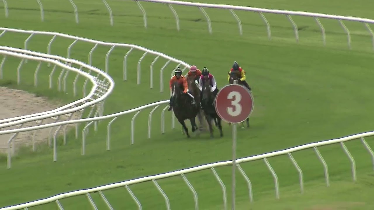 Heat 12   Doomben Jumpouts 2701