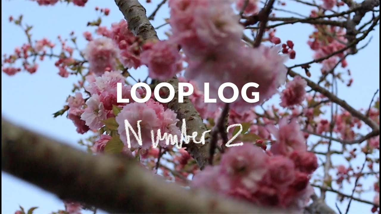 Loop Log - Number 2
