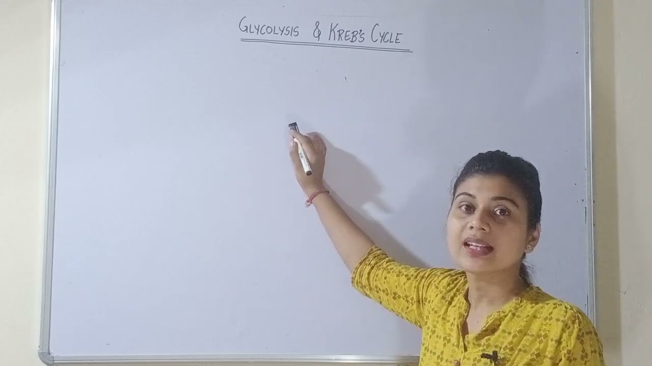 Kreb's Cycle in hindi | Glycolysis in hindi | Cellular Respiration | Biology #krebcycle #glycolysis