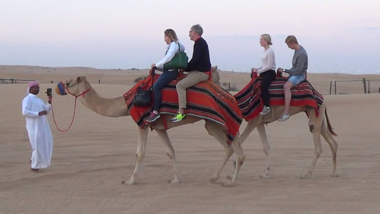 Camel Ride | Dubai | smarTours