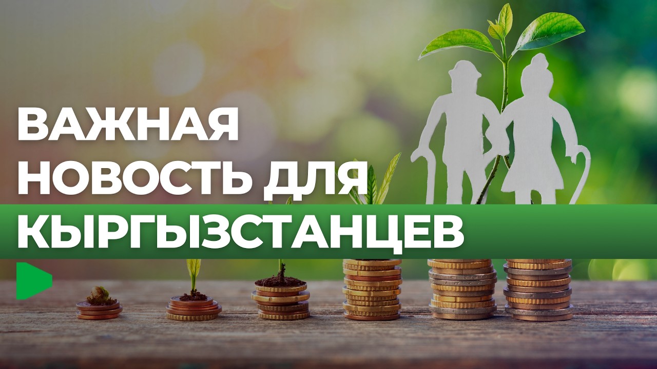 Накопительная пенсия: доступные выплаты и новые возможности | НОМАД ТВ