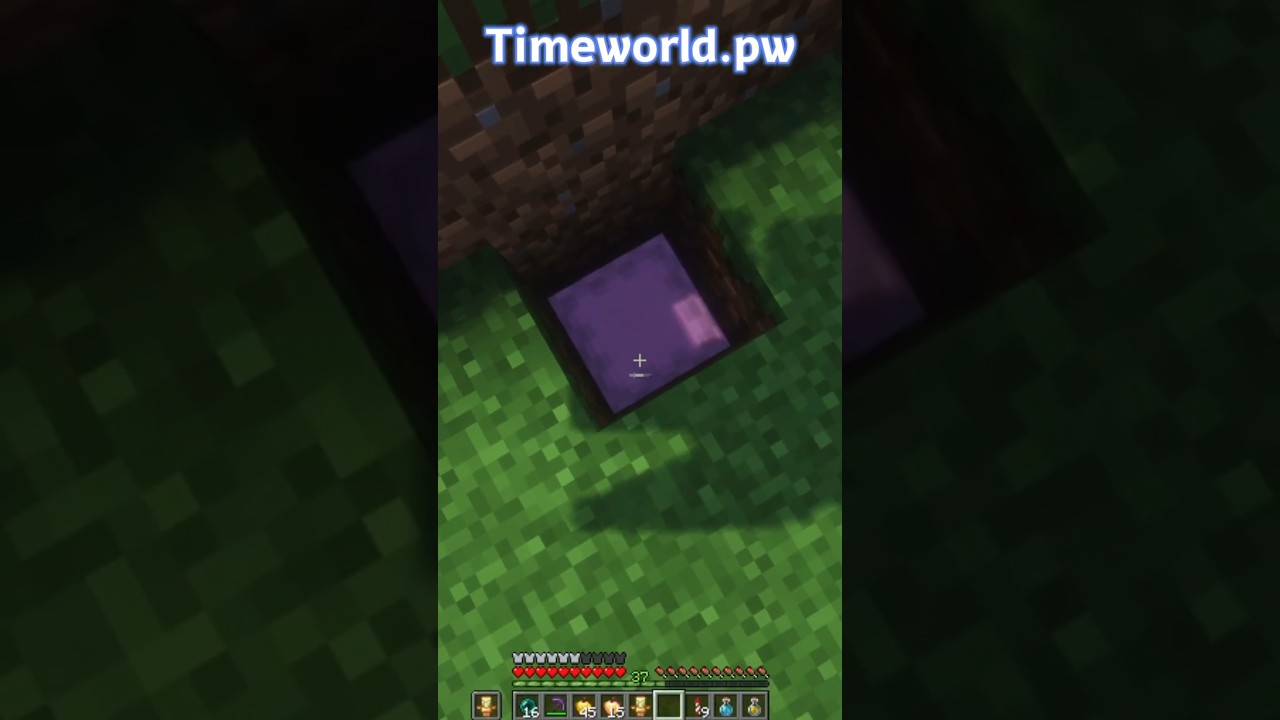 Оставил ШАЛКЕР С ТОПОВЫМИ Вещами На СЕРВЕРЕ Timeworld! #minecraft