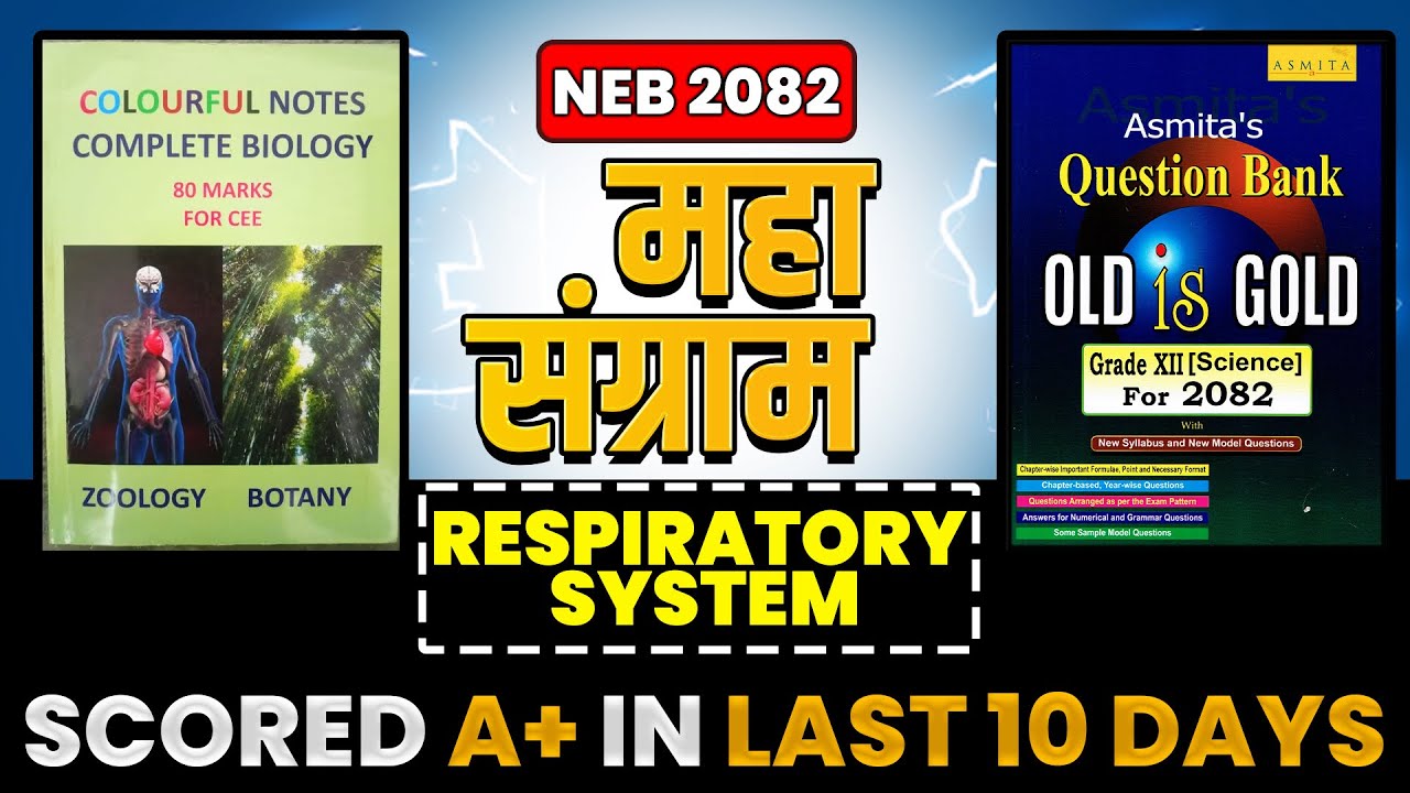 Complete Human Respiratory System Chapter + Important Questions Solutions || Class 12 NEB Zoology ||