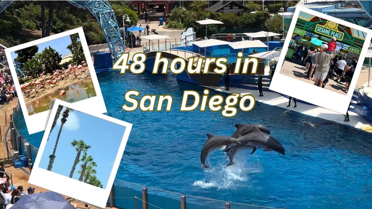 Видеоблог о путешествиях: 48 часов в Сан-Диего 🌴 | Seaworld, Улица Сезам и моменты медленного пут...