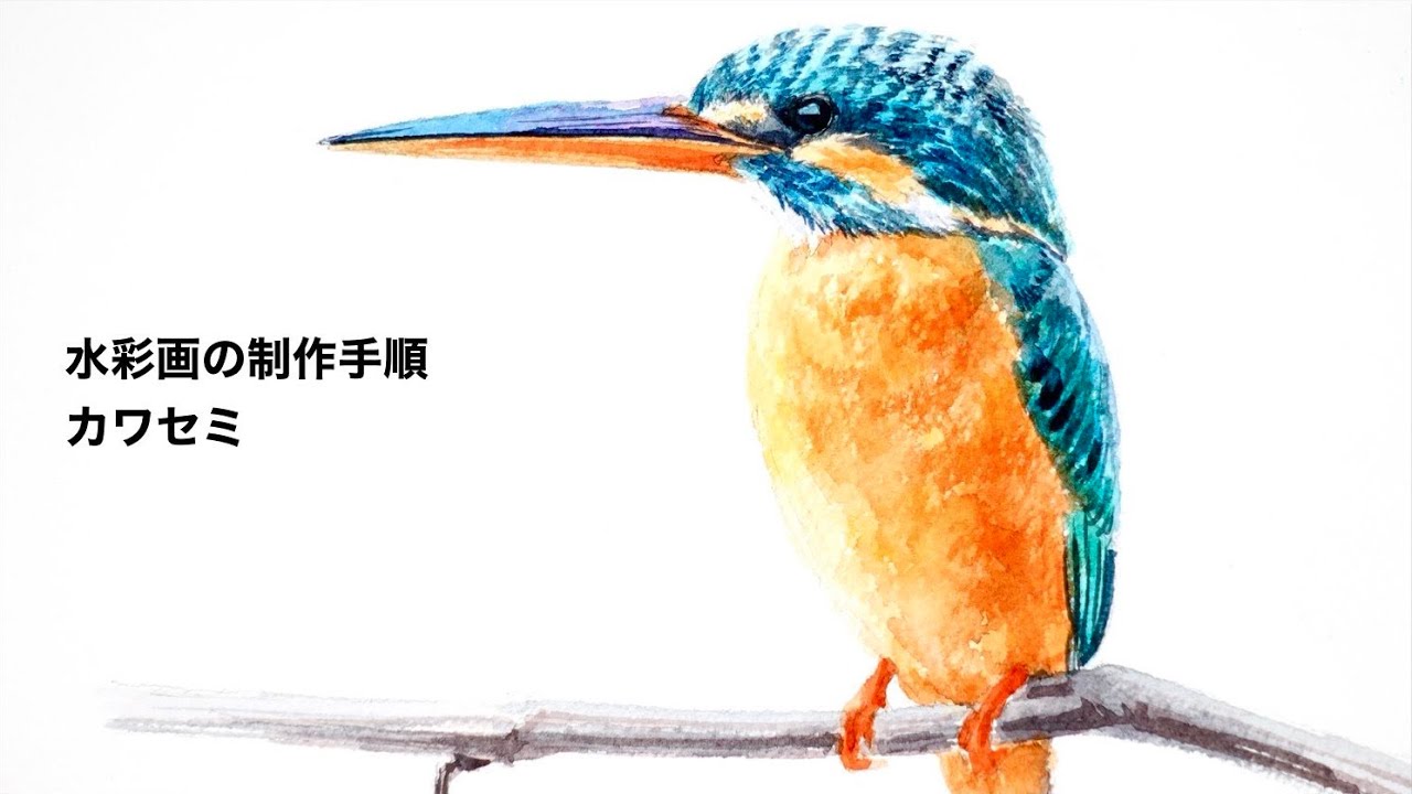水彩画の制作手順「カワセミ」／How to Paint a Kingfisher in Watercolor