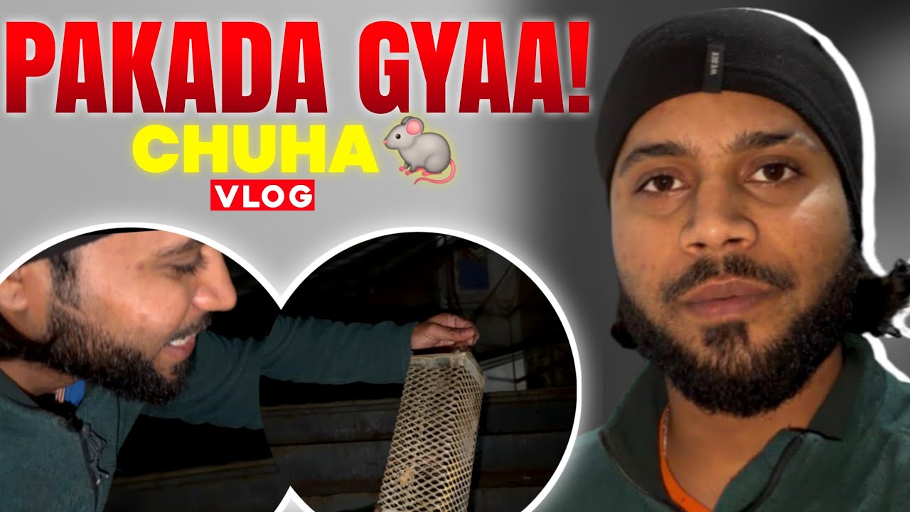 ||RAT EK BAAR PHIR PAKDA GAYA 🐀😏||BHALU NE MILAYA CHACHAAAAAA SE😂||AMAN DEEP SAXENA VLOGS||
