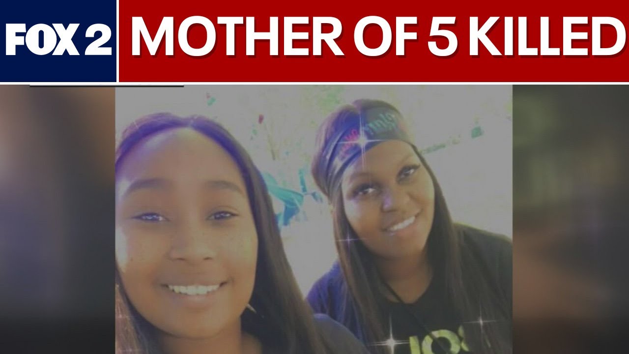 Pontiac mother of 5 killed in apparent domestic violence situation.