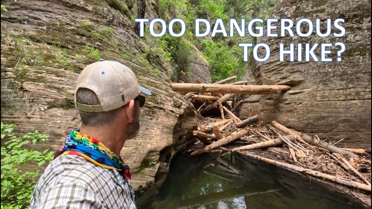 The West Fork Trail - The Most Dangerous Hike in Sedona?