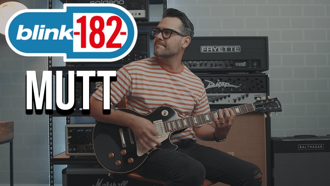 Blink-182 - Mutt (Guitar Cover)