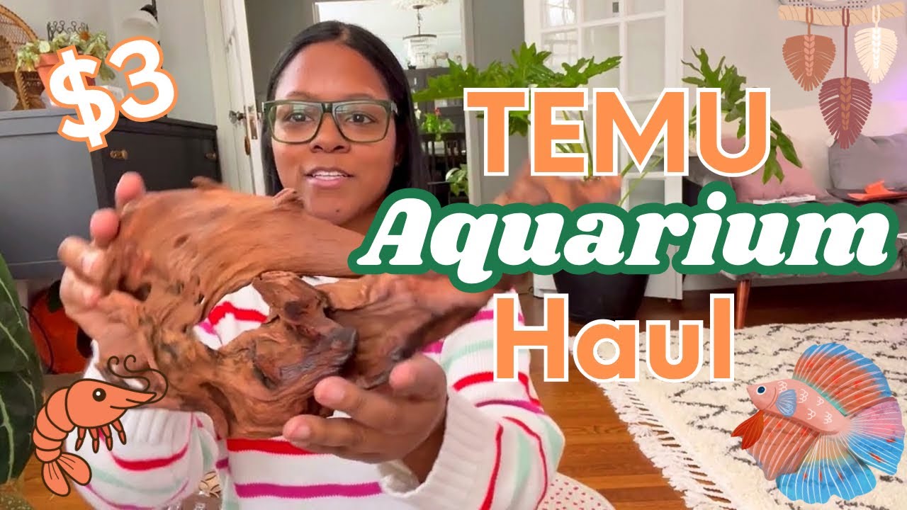 Temu Online Aquarium Shopping Haul | Propagation Stations and Boho home decor! Temu Plant hangers