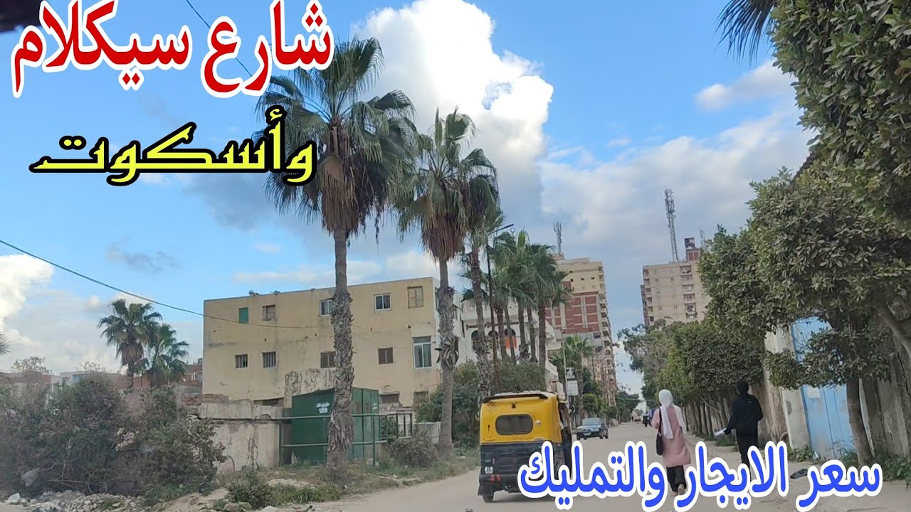 شارع سيكلام وشارع أسكوت ميامي الجديده وسعر التمليك والايجار