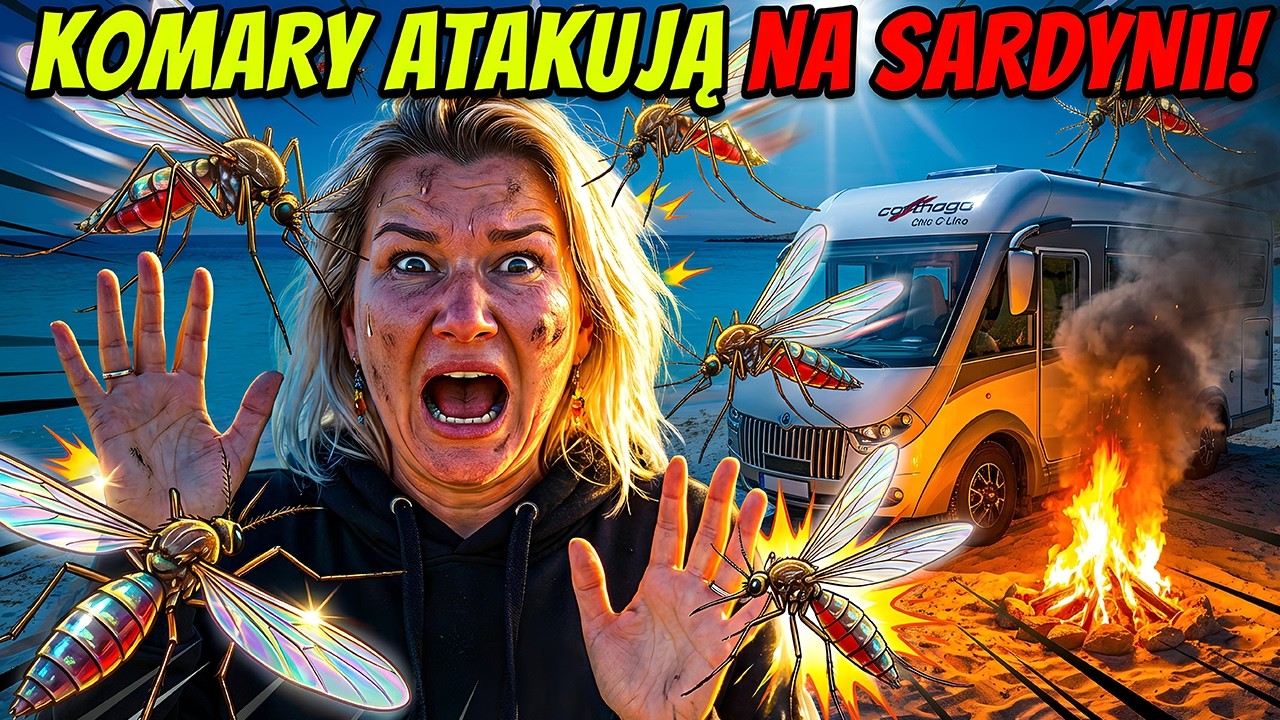Carthago na IS ARUTAS?  CZY UDA NAM SIĘ DOJECHAĆ - Napiekniejsza plaża na Sardynii 