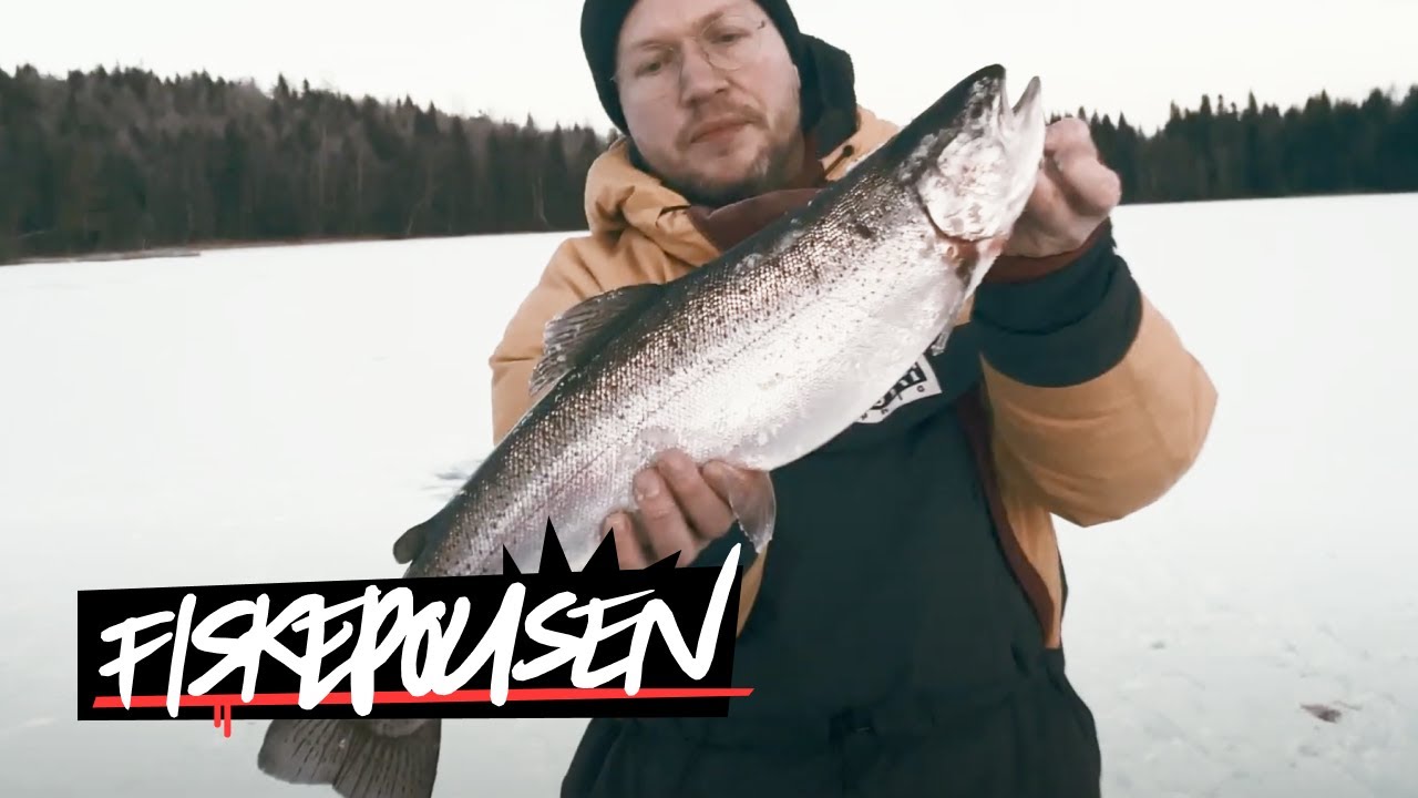 Pimplar RÖDING och tar REGNBÅGE med lasso(!?)